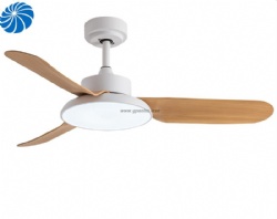 Small ceiling fan