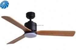 Morden nodic ceiling fan light